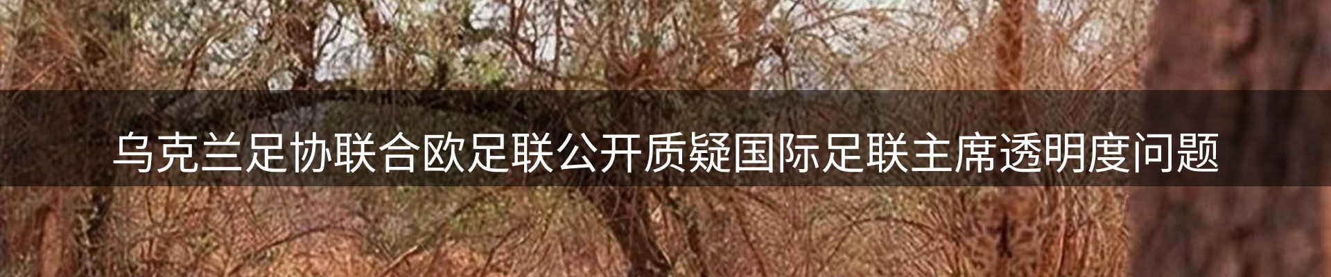 资讯中心