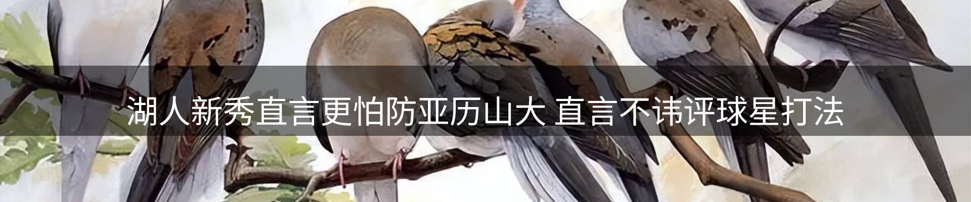 新闻汇览